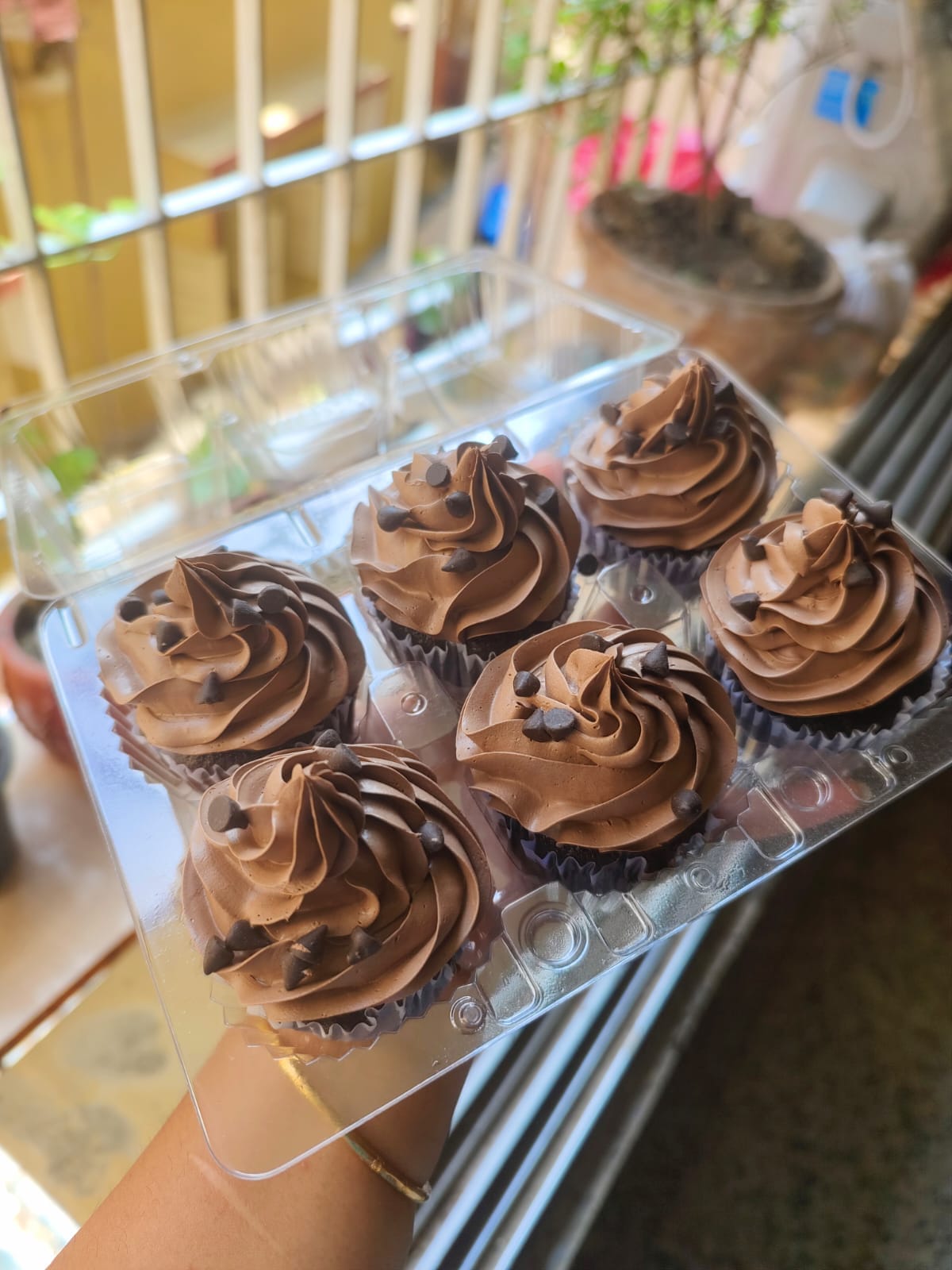 Chocolate Mousse Cupcake